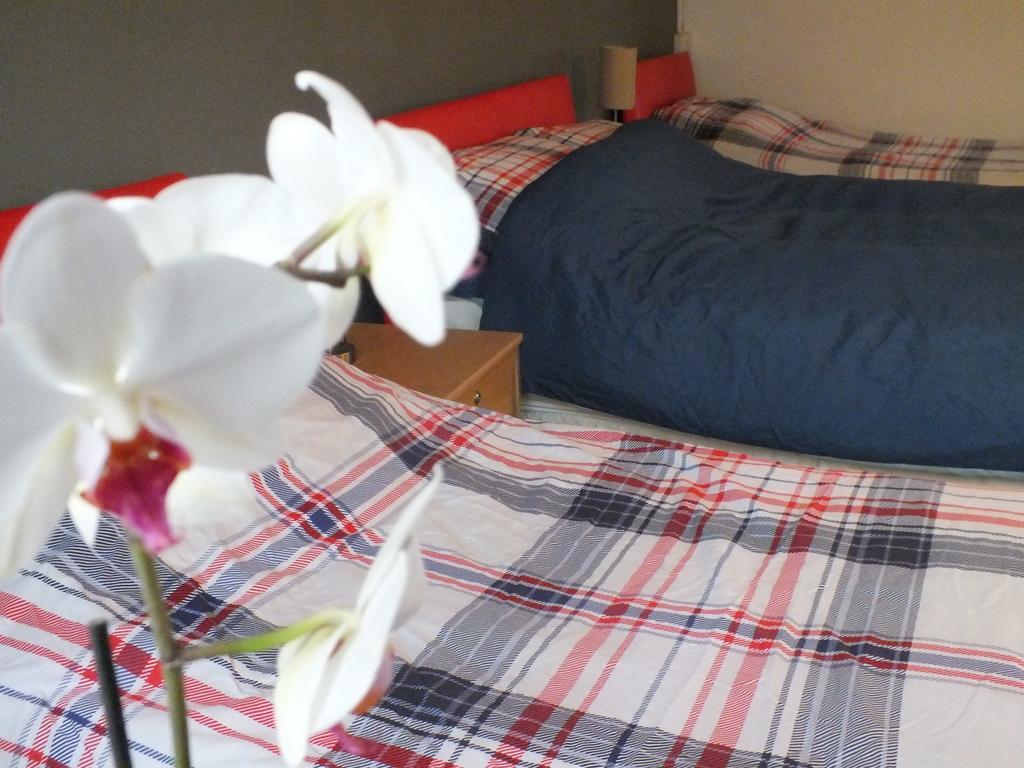 Bonna'S Bed And Breakfast Builth Wells Eksteriør bilde